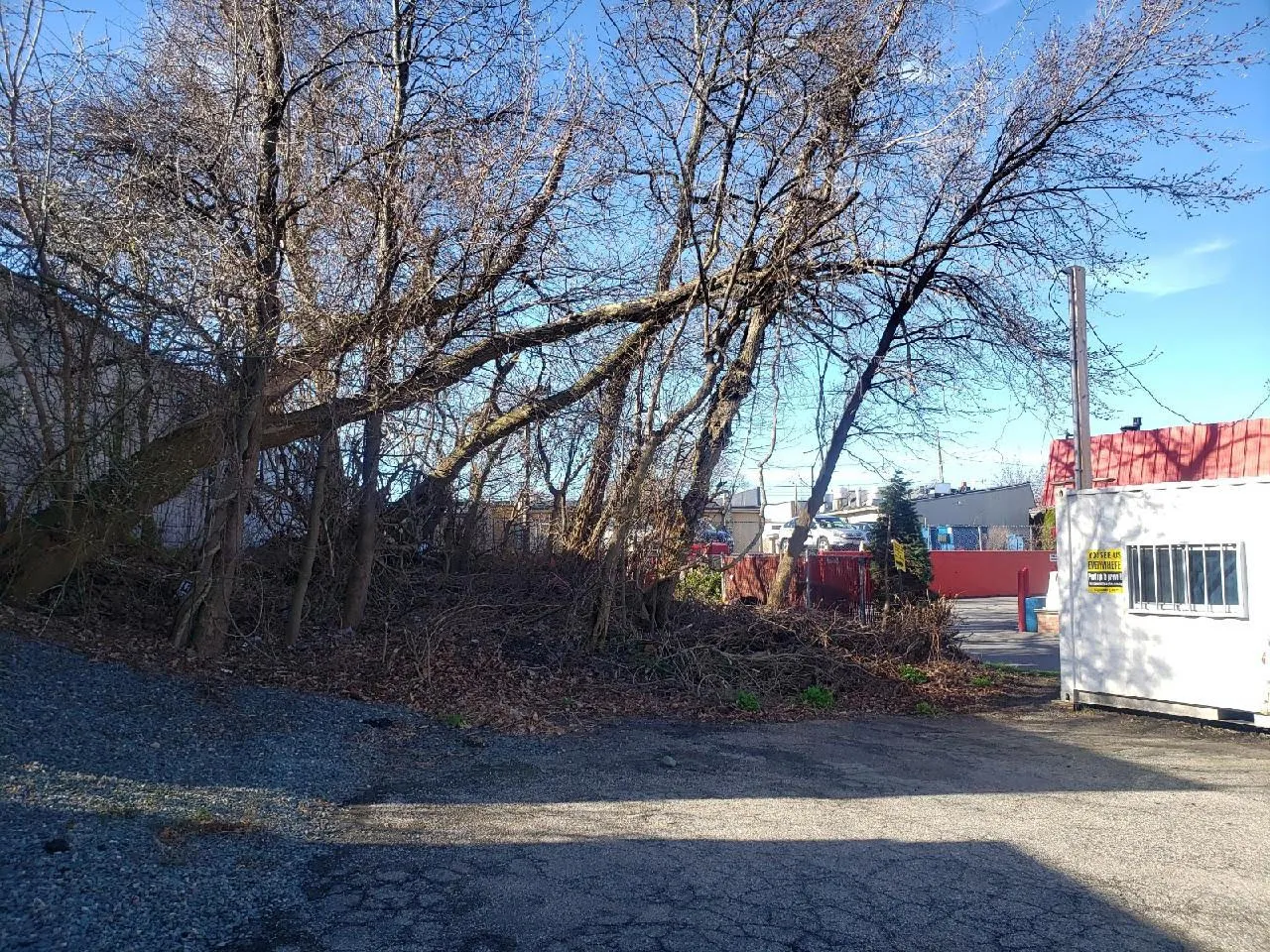 Commercial Land Clearing - Before