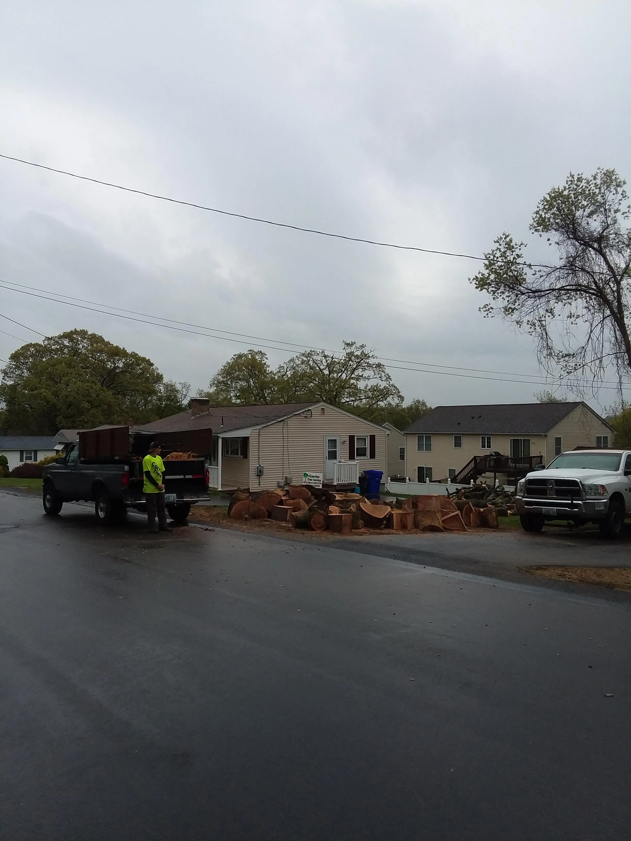 Street Tree Removal - After