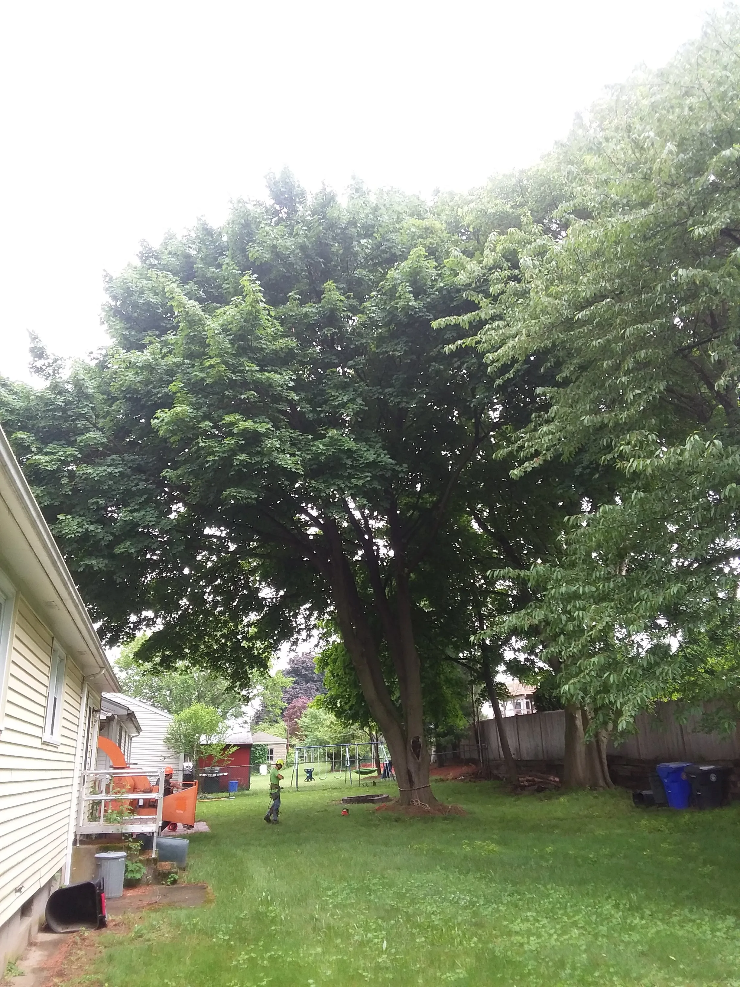 Backyard Safety Enhancement - Before