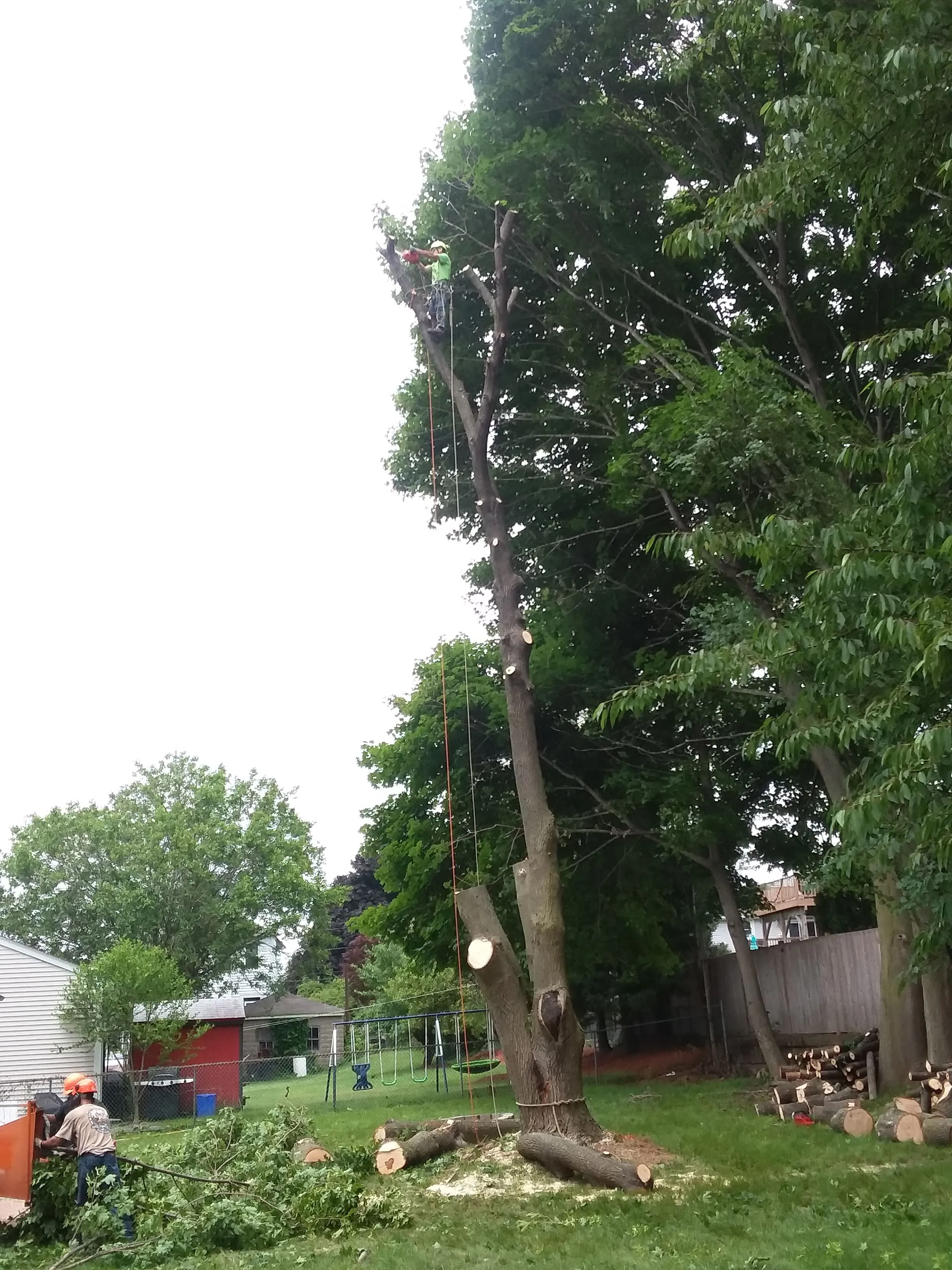 Backyard Safety Enhancement - After